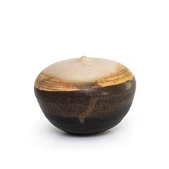 Forma chiusa di Toshiko Takaezu (INV# NP3927)