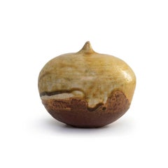 Rare Form A di Toshiko Takaezu