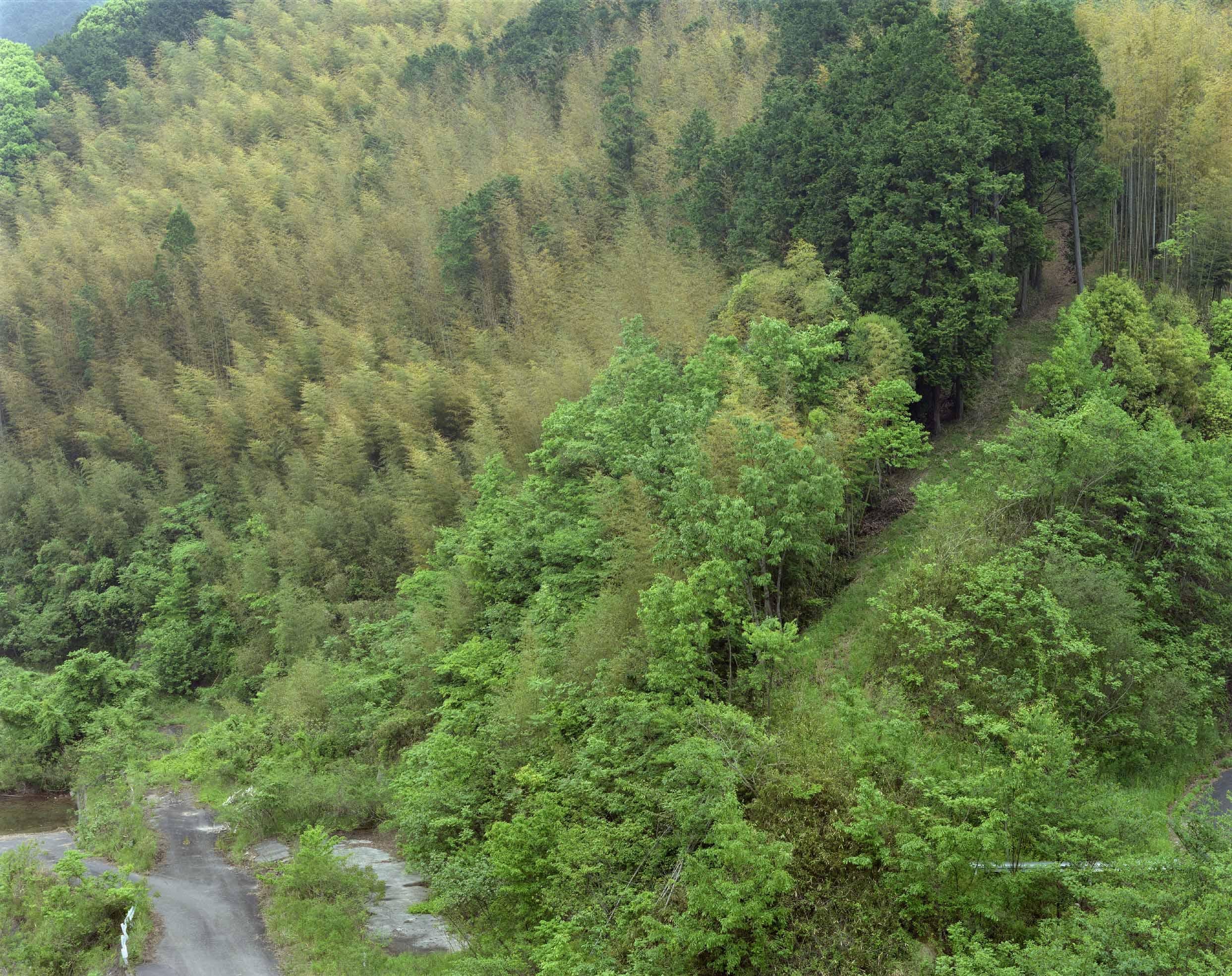 Kagamino Town, Okayama Prefecture (C-2393)