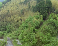 Townes Kagamino, Präfektur Okayama (C-2393)