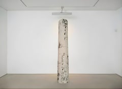 Totem Medio di Giorgio Ciliberti