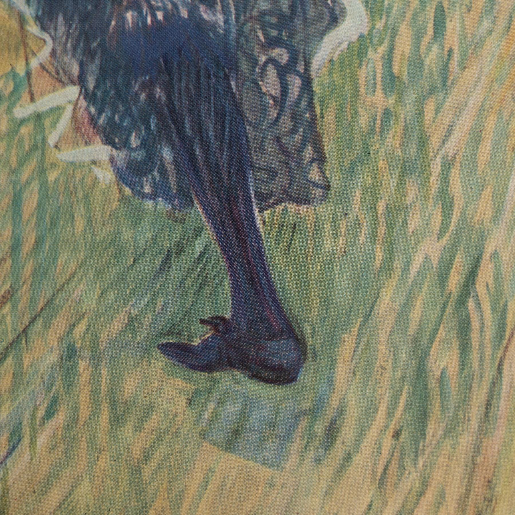 Metà XX secolo Stampa cliché a colori di Toulouse-Lautrec del 1952, incorniciata in vendita