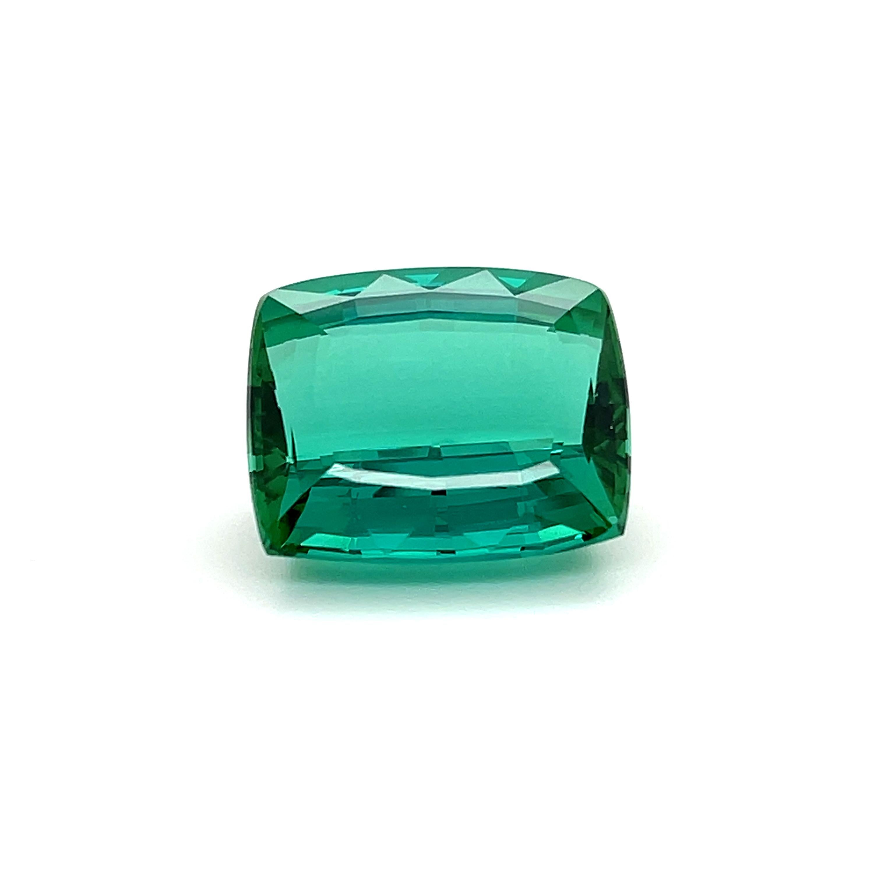 22.449ct Tourmaline Cushion step cut
Color: Bluish green
Provenance: Malacacheta, Minas Gerais, Brazil
Dimensions: 18,2 x 15,6 x 9,65 mm
Clarity: Flawless