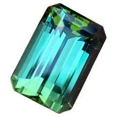 Tourmaline 7.53 Ct., natural loose Gemstone, Octagon cut, Origin Nigeria