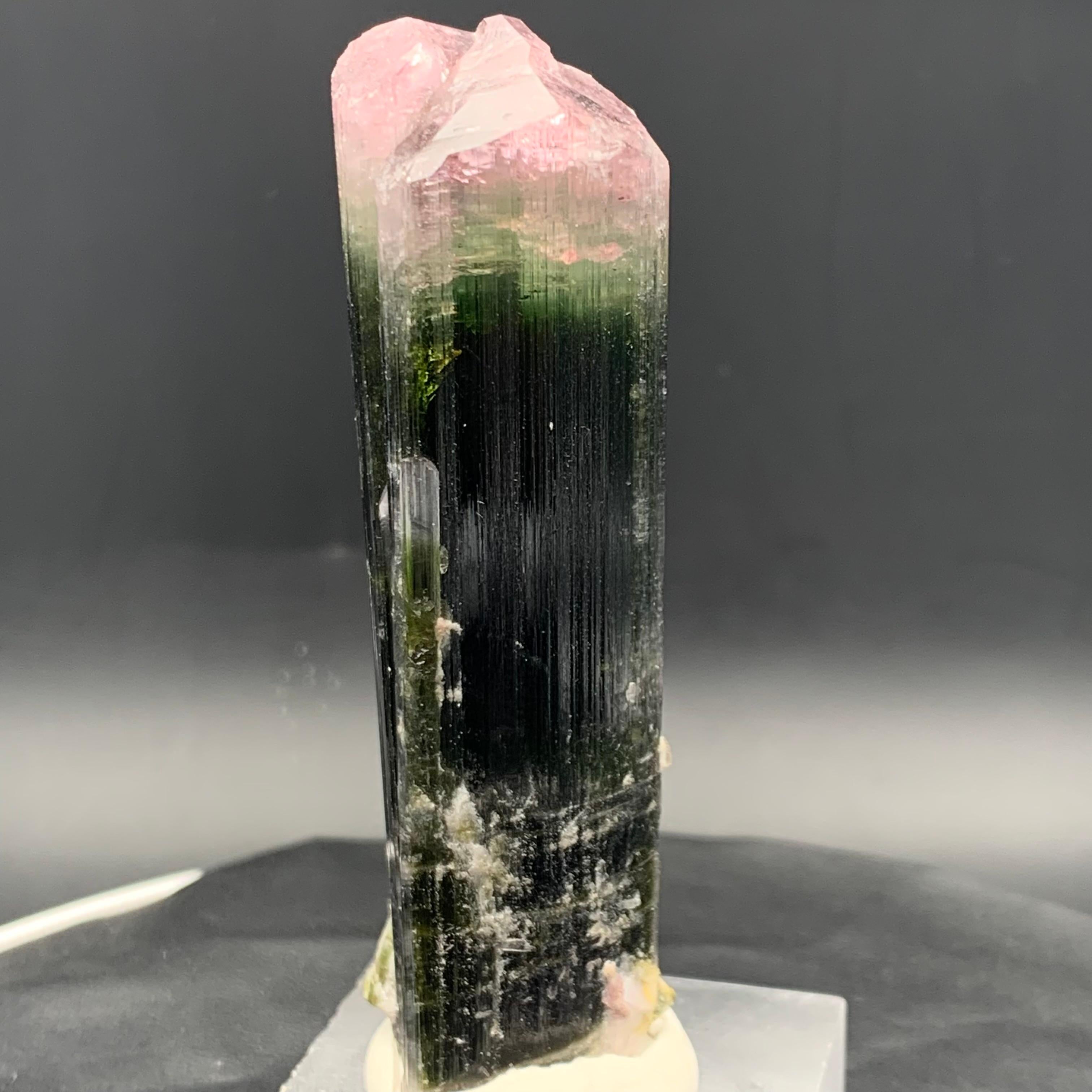 Specimen di cristallo di tormalina Watermelon Bicolor 114,87 Grammi Terminato in vendita 4