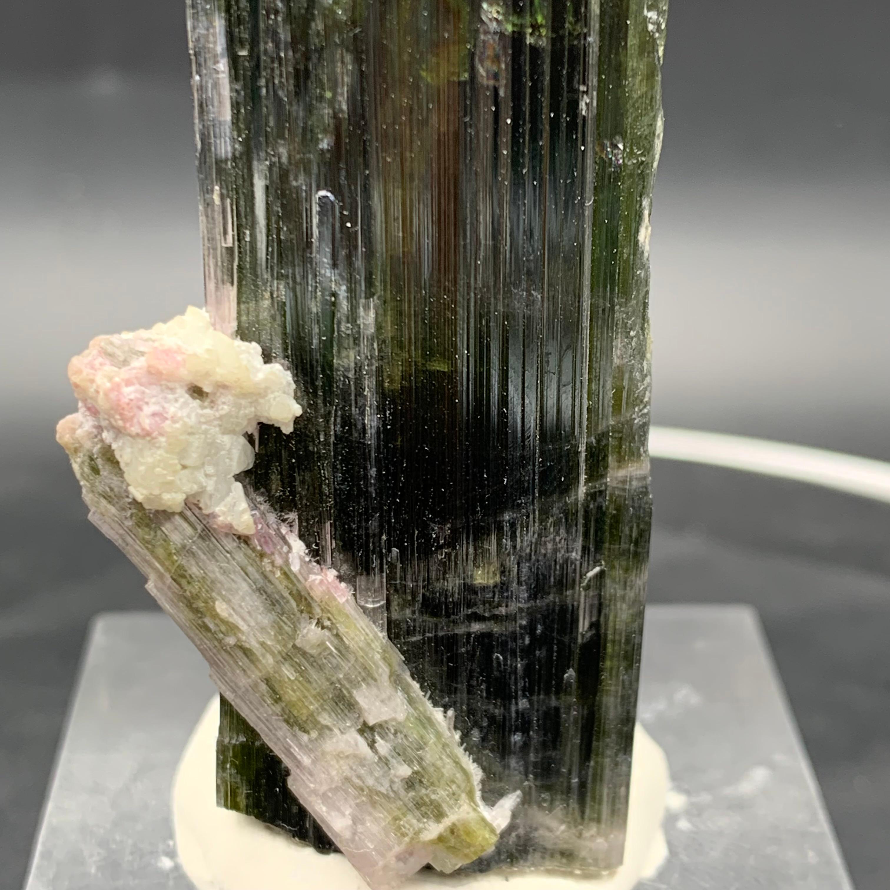 Specimen di cristallo di tormalina Watermelon Bicolor 114,87 Grammi Terminato in vendita 5