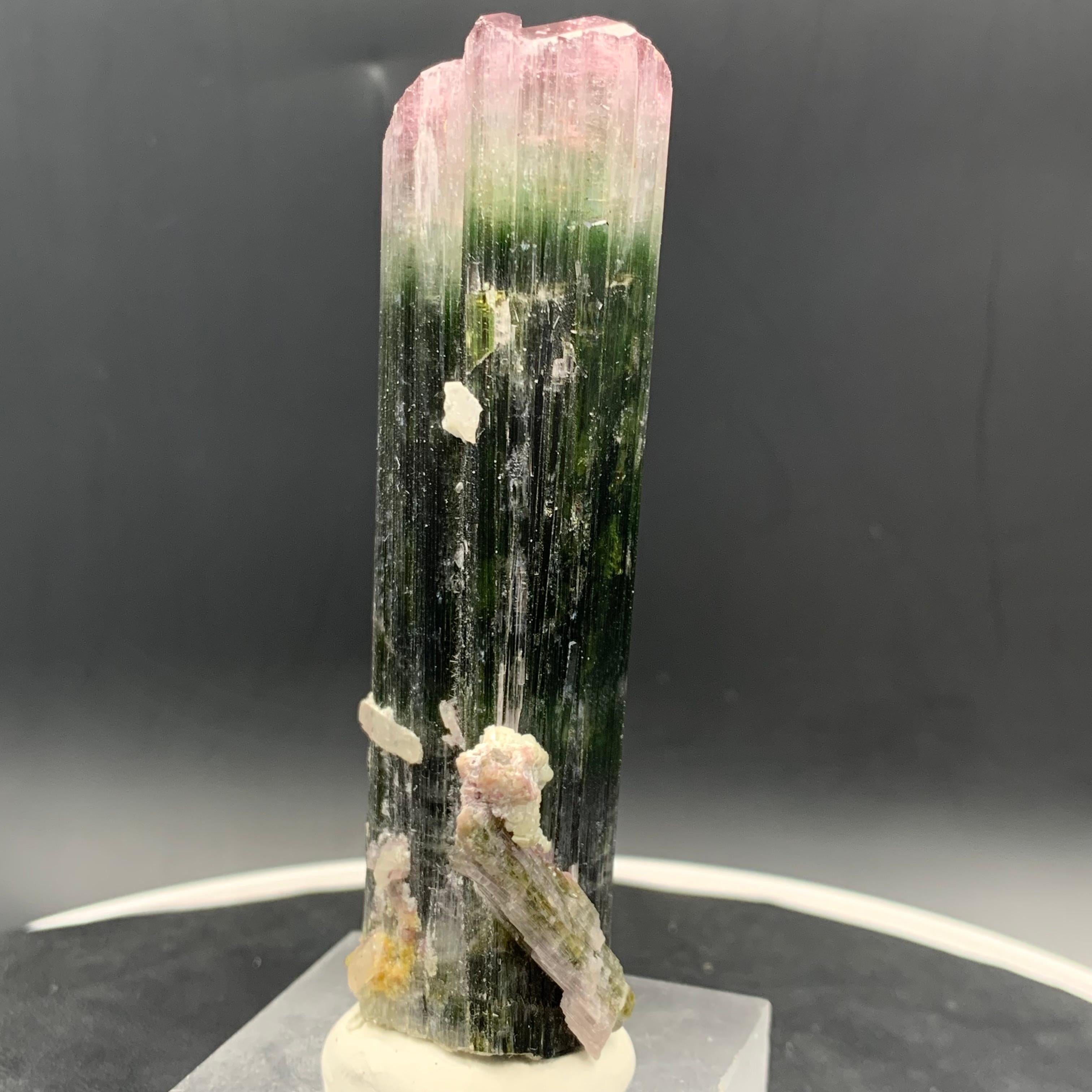 Specimen di cristallo di tormalina Watermelon Bicolor 114,87 Grammi Terminato in vendita 6