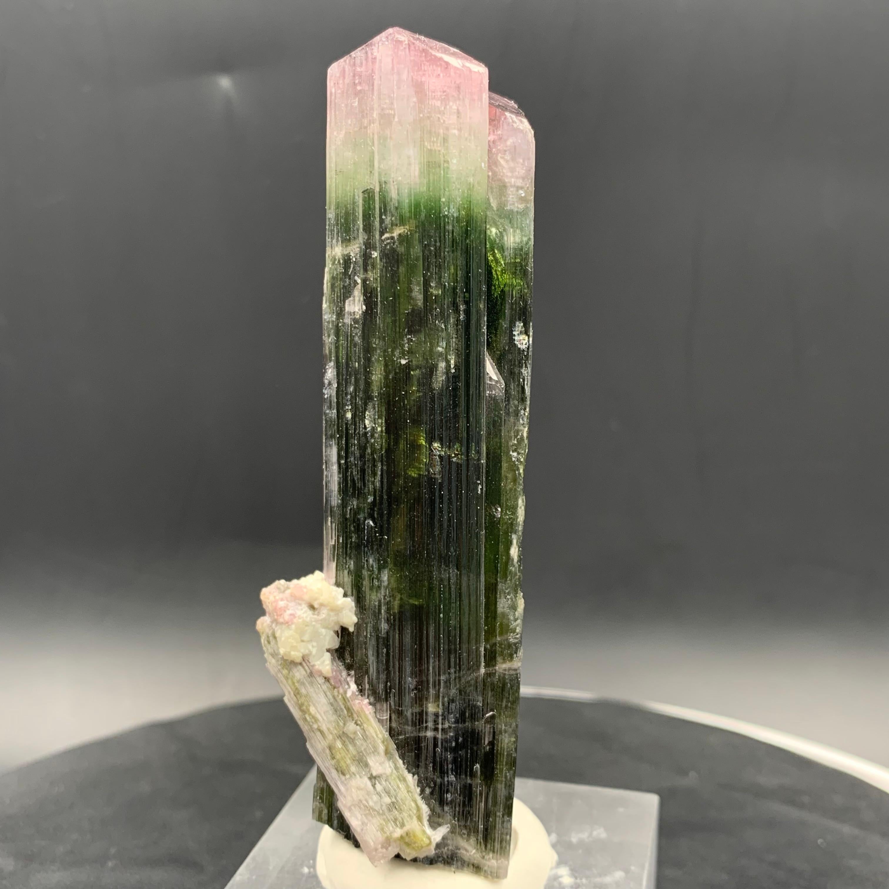 Cristallo terminato di tormalina naturale bicolore di Kunar, Afghanistan!!!

💎 TIPO DI GEMMA: Cristallo di tormalina
⚖️ PESO: 114,87 grammi
📏 DIMENSIONE (MM): 95,55 x 24,17 x 27,33 mm
🌈 COLORE: Anguria Bicolore
🧪 TRATTAMENTO: Nessuno (100%