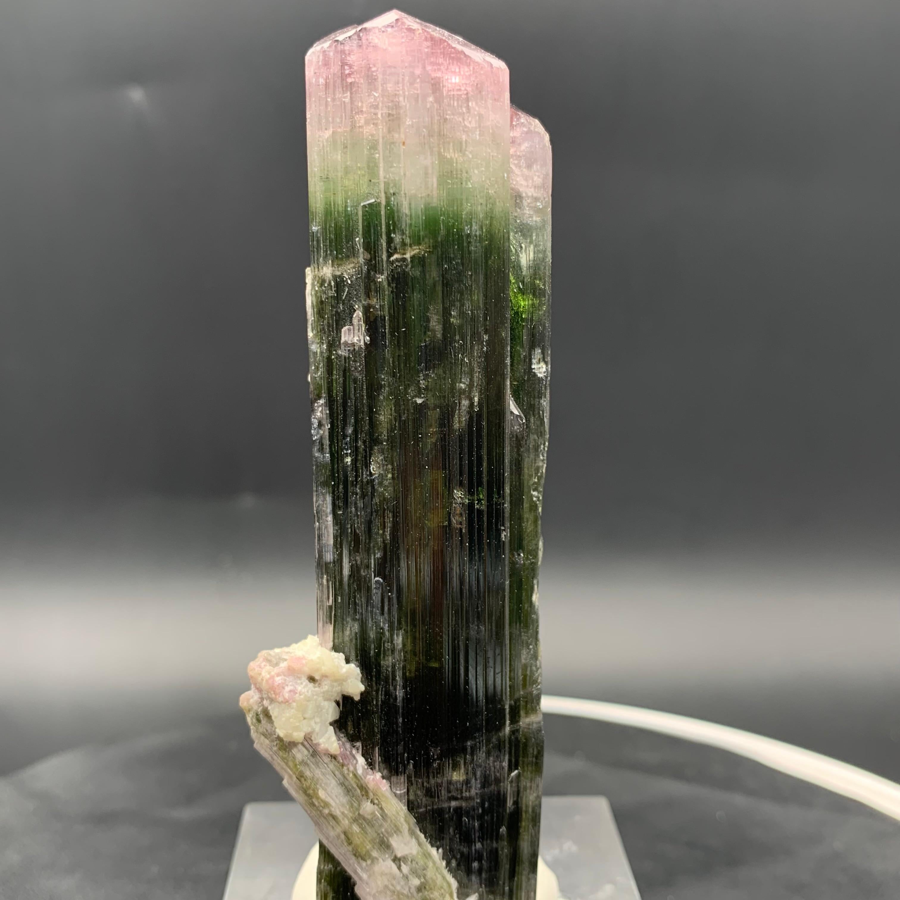 Grezzo Specimen di cristallo di tormalina Watermelon Bicolor 114,87 Grammi Terminato in vendita