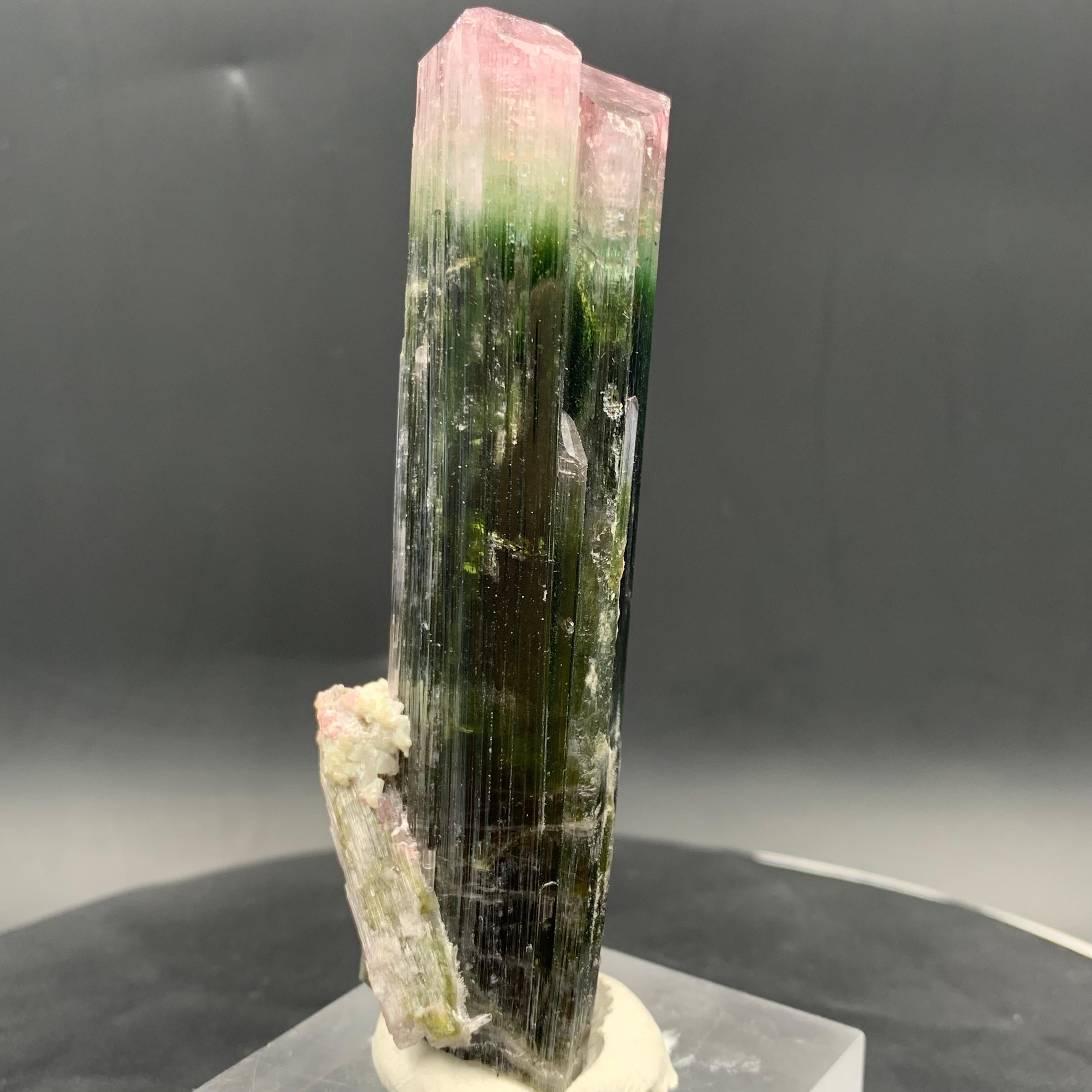 da uomo o donna Specimen di cristallo di tormalina Watermelon Bicolor 114,87 Grammi Terminato in vendita