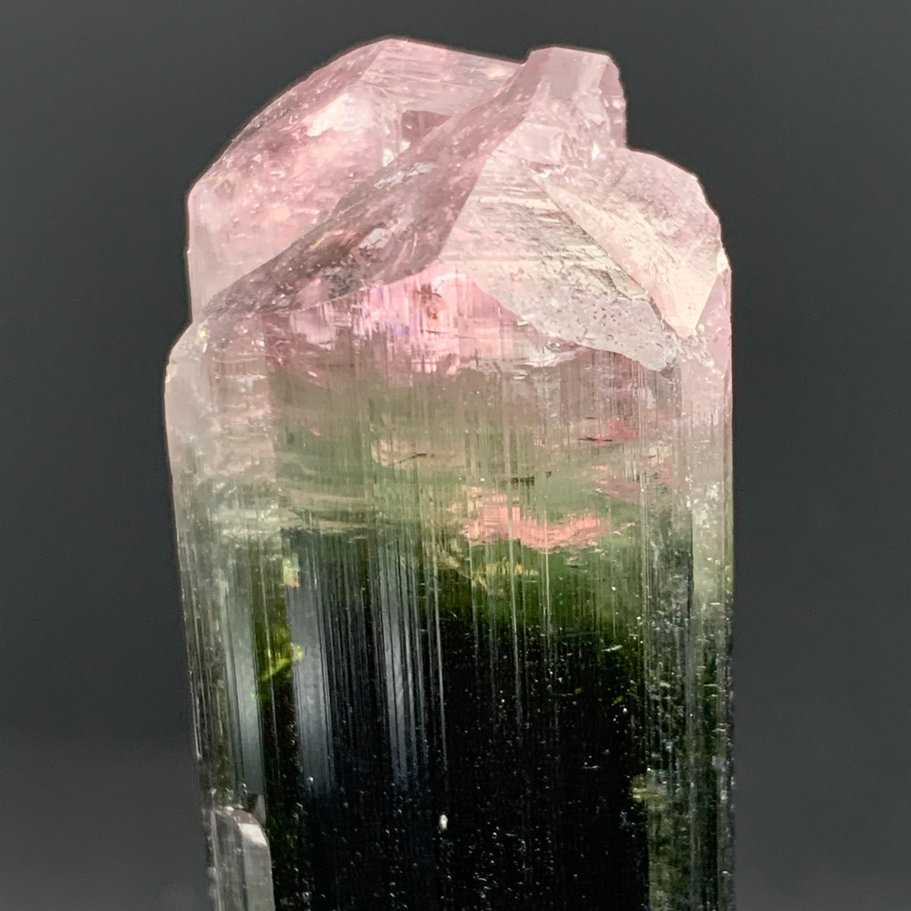 Specimen di cristallo di tormalina Watermelon Bicolor 114,87 Grammi Terminato in vendita 1