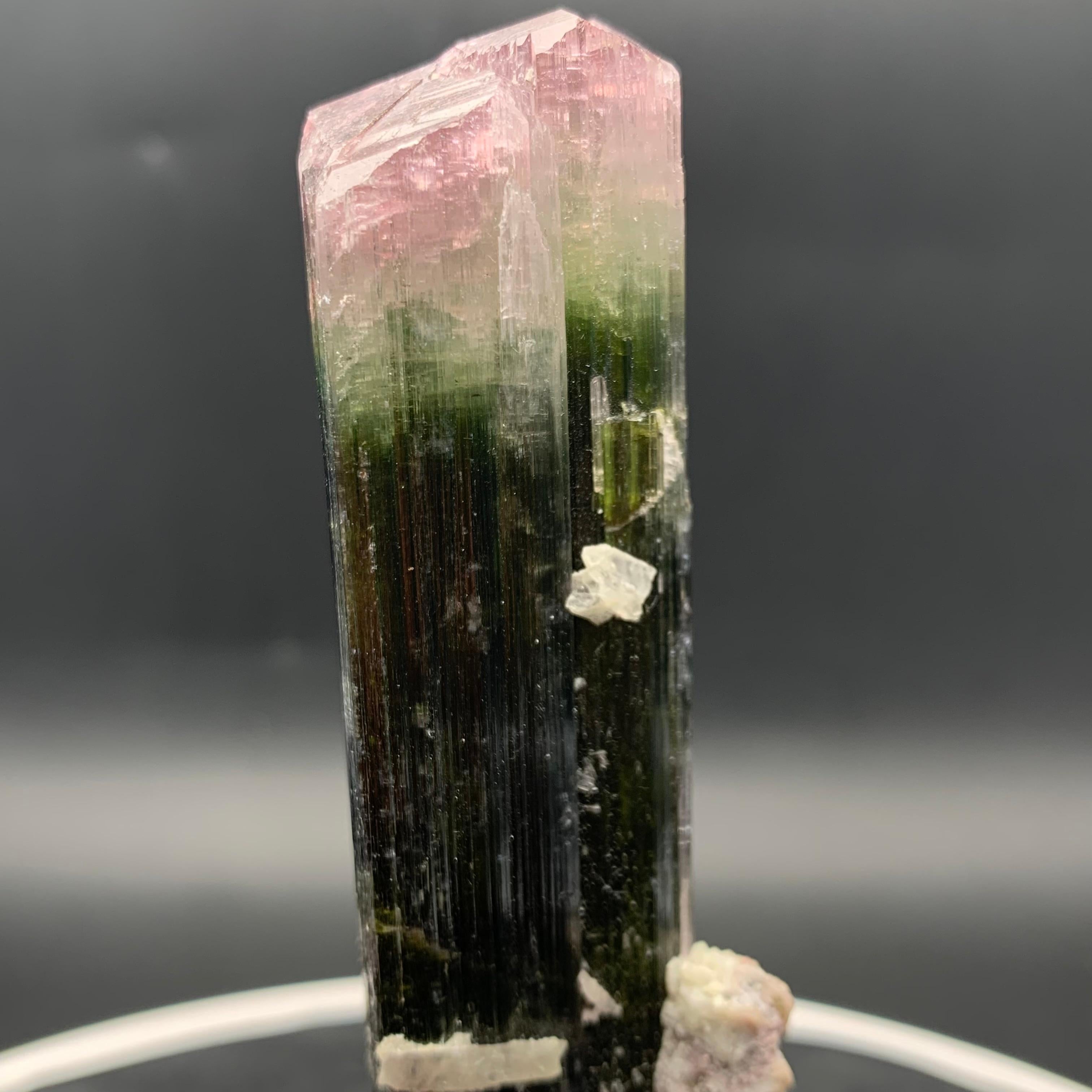 Specimen di cristallo di tormalina Watermelon Bicolor 114,87 Grammi Terminato in vendita 2