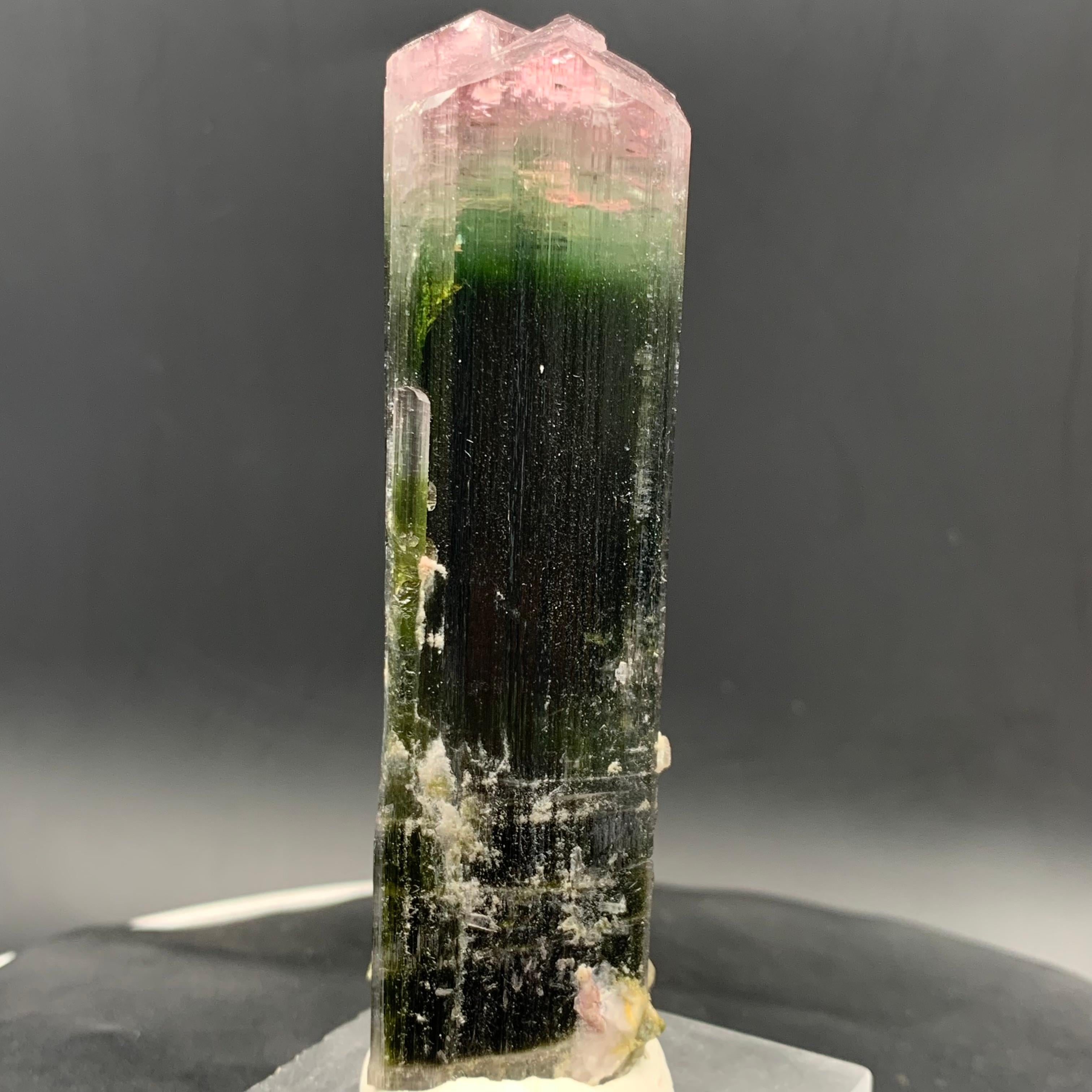 Specimen di cristallo di tormalina Watermelon Bicolor 114,87 Grammi Terminato in vendita 3