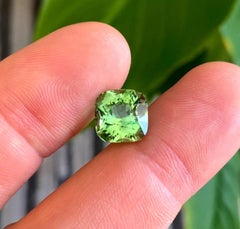 Tourmaline Natural Loose gemstone 6.59 ct., Cushion cut., Certificate. Nigeria