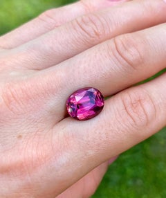 Turmalin Rubellit 7,53ct natürlicher Edelstein, Oval, Mosambik, GFCO Zertifikat