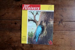Tout l'Univers N° 173 — Février 1965 — Planche Botanique 30 Feuilles - 2C147