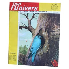 Tout l'Univers N° 173 — Février 1965 — Planche Botanique 30 Feuilles - 2C147