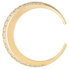 Verso le stelle Anello della luna bianca