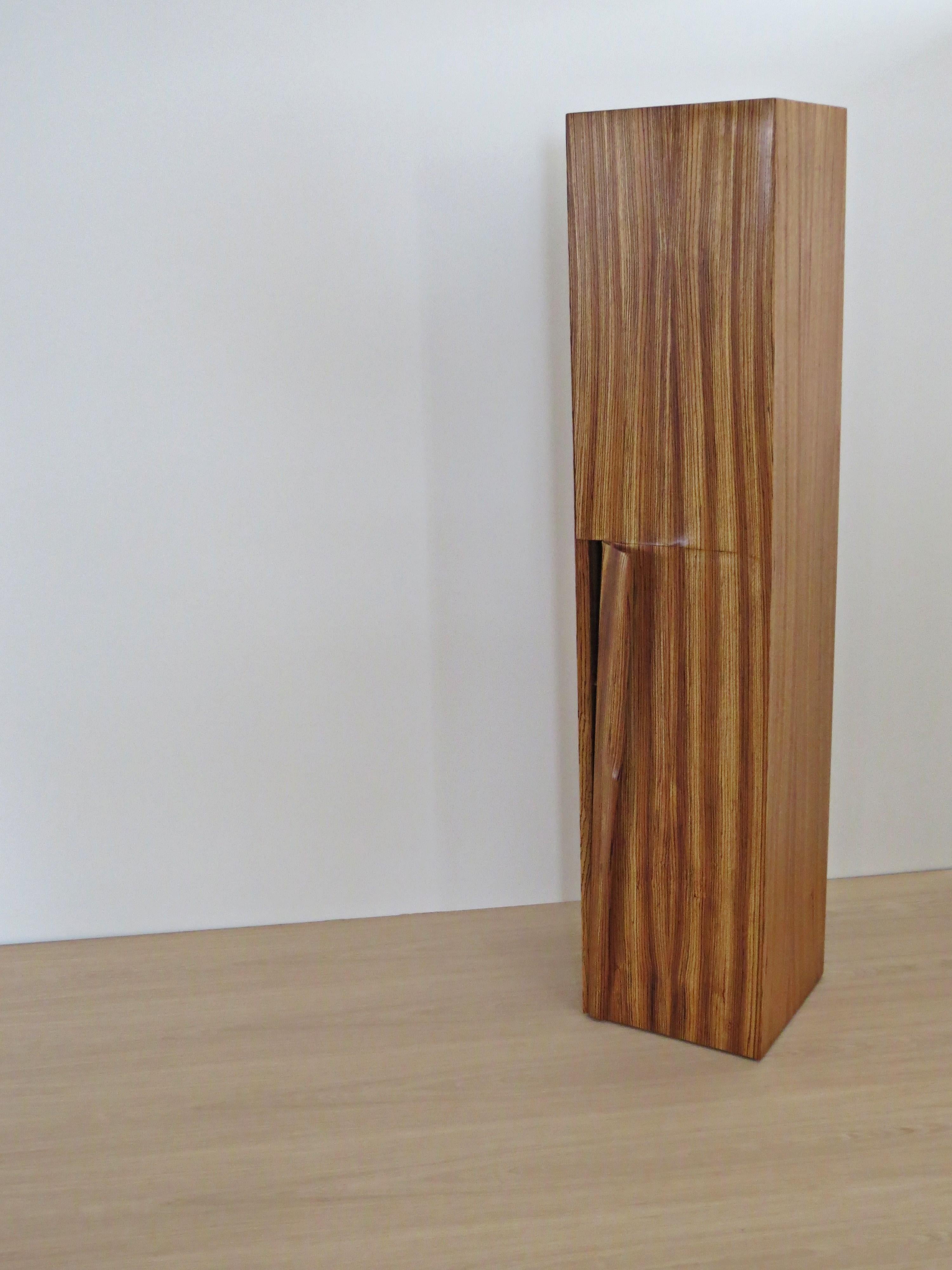 Modern Tower Cabinet, Handmade, Solid Zebra Wood, Made in Germany, High Cabinet For Sale