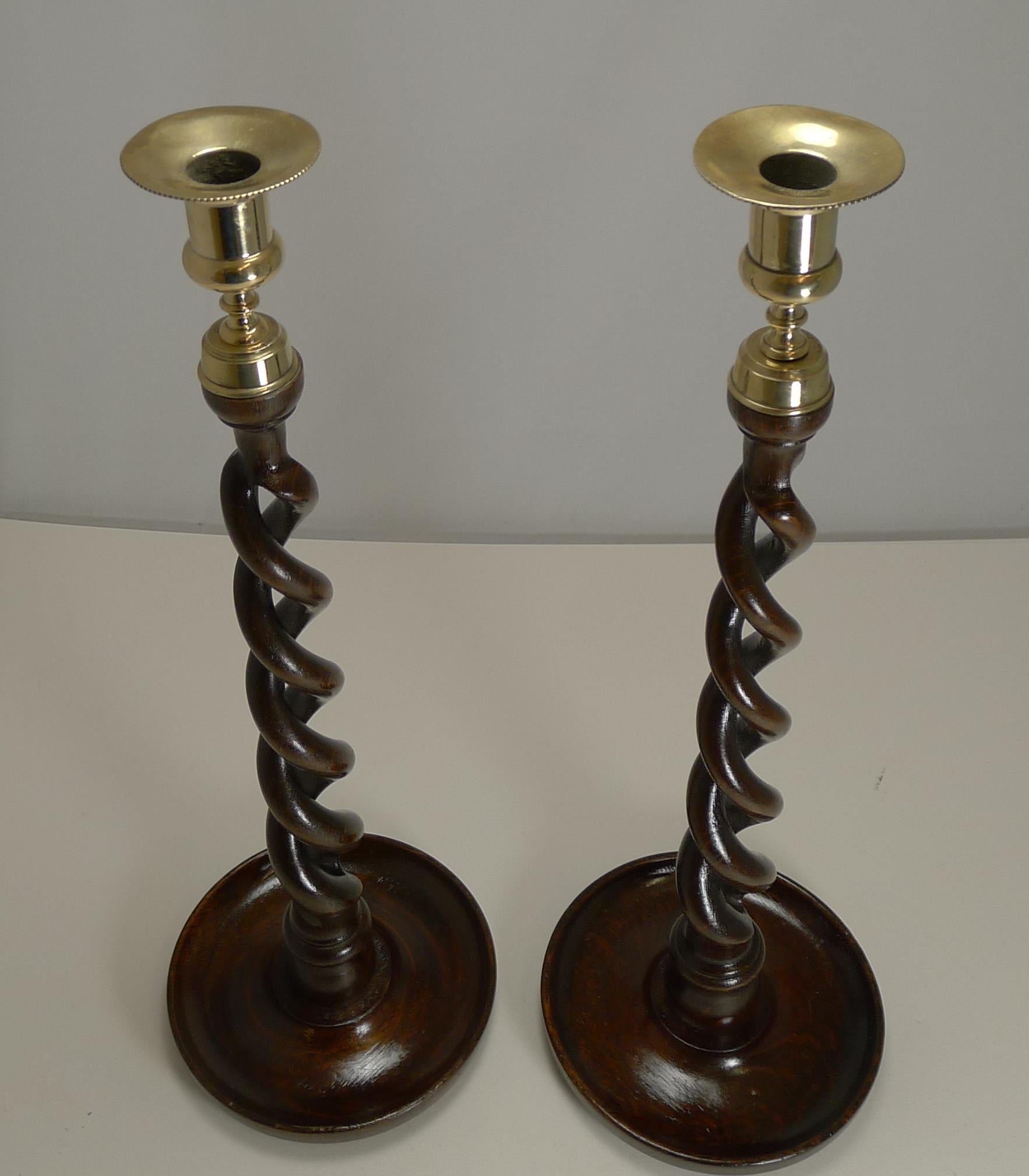 A wonderful and scarce pair of wooden candlesticks, always a winning combination, polished Oak and brass and the size is phenomenal at 18 1/2