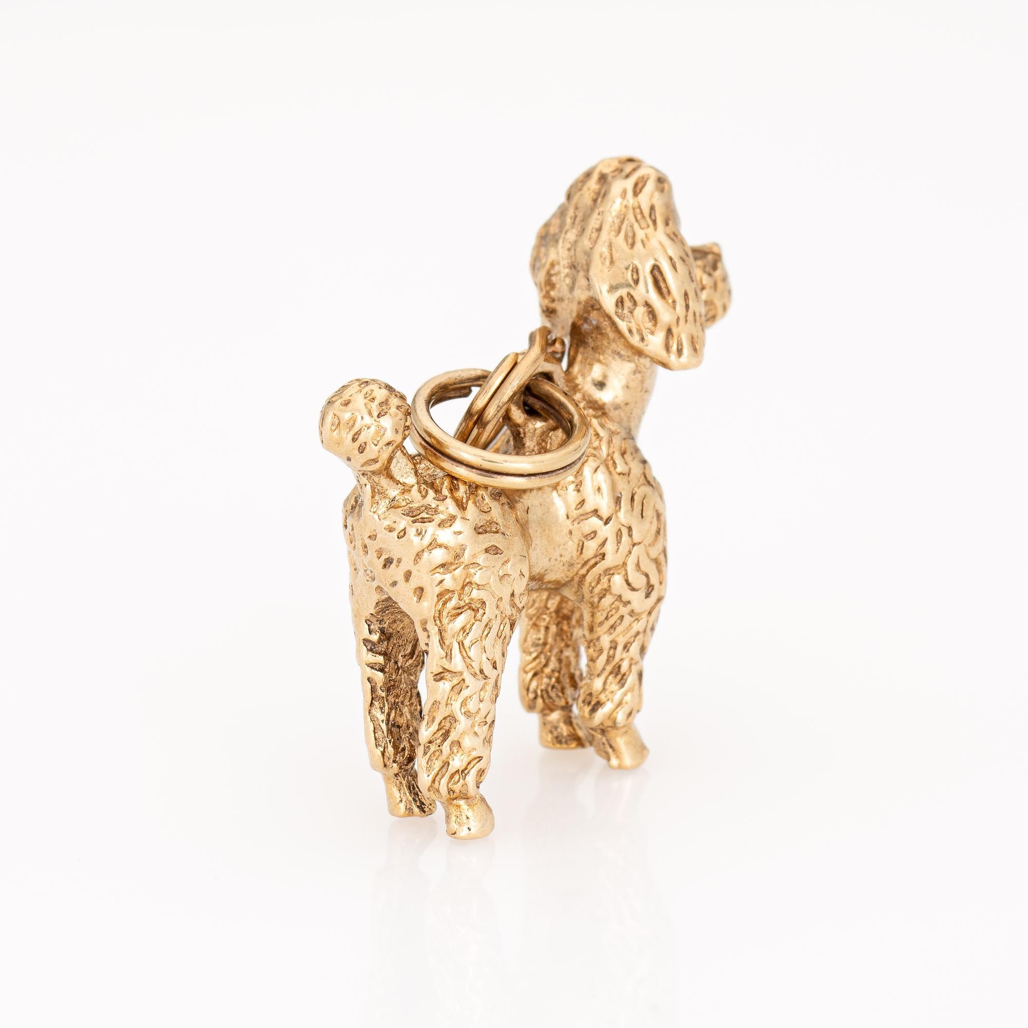 gold poodle charm