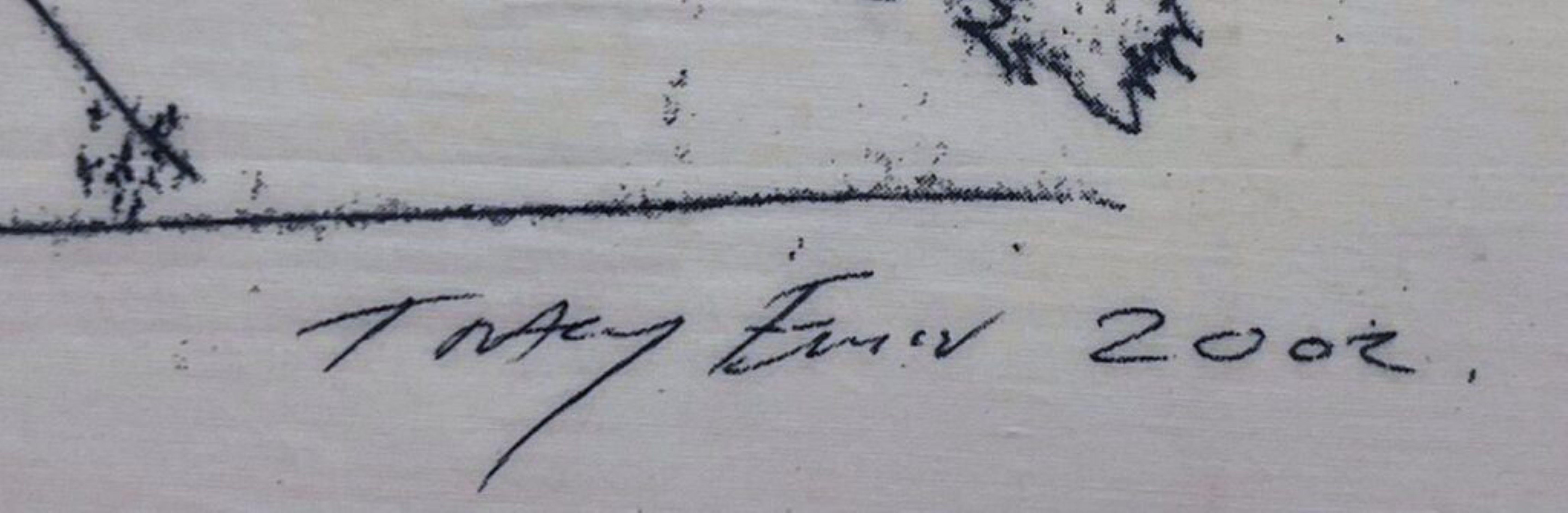 BBC 4 textile (HAND SIGNED and dated by Tracey Emin) screenprinted fabric Framed en venta 3