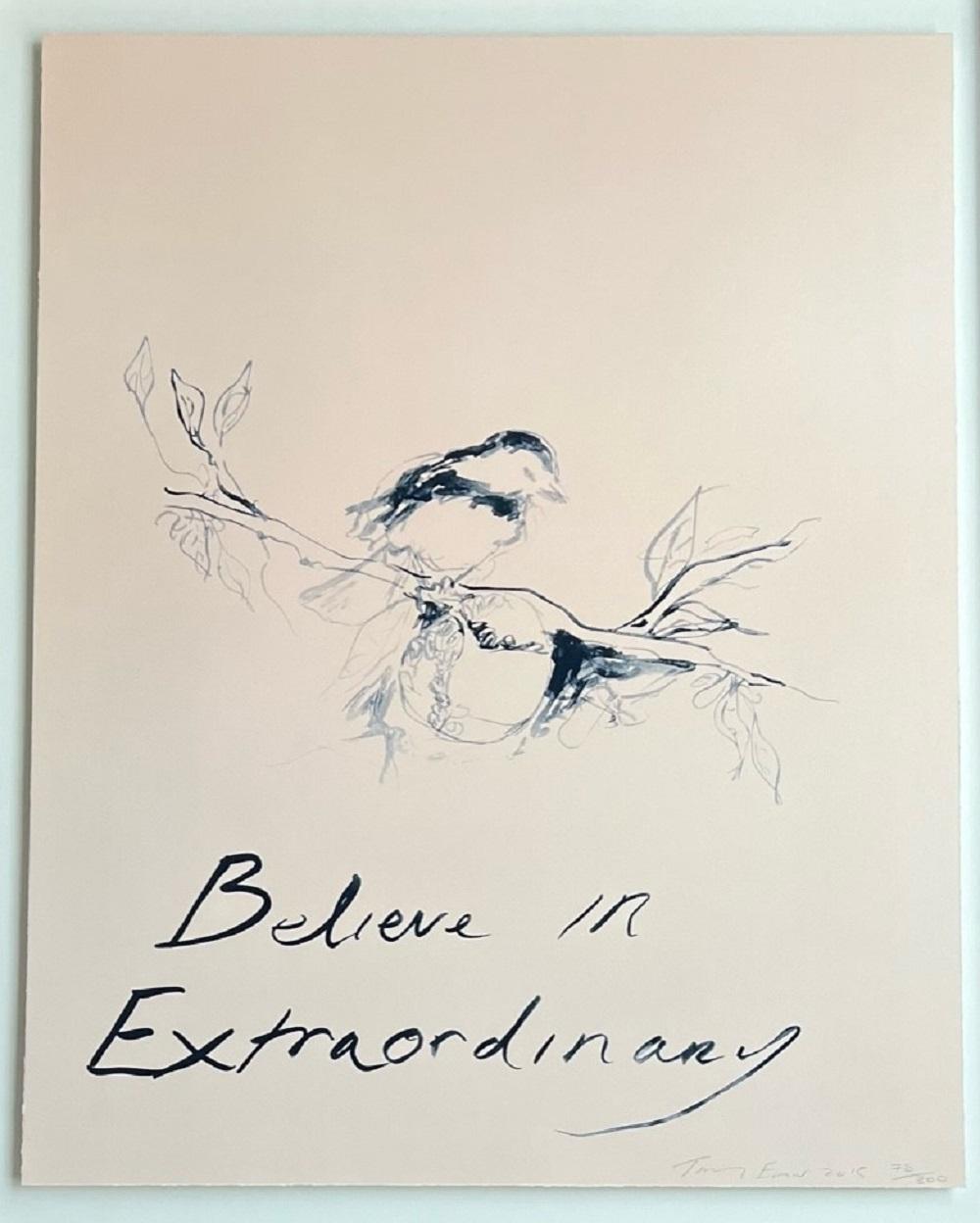 Believe In Extraordinary (2015) (signé) en vente 2