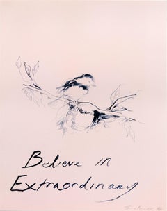 Believe In Extraordinary (2015) (signé)