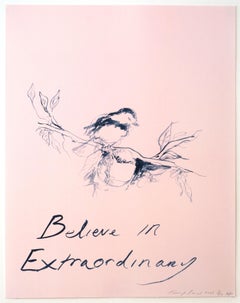 Believe in Extraordinary