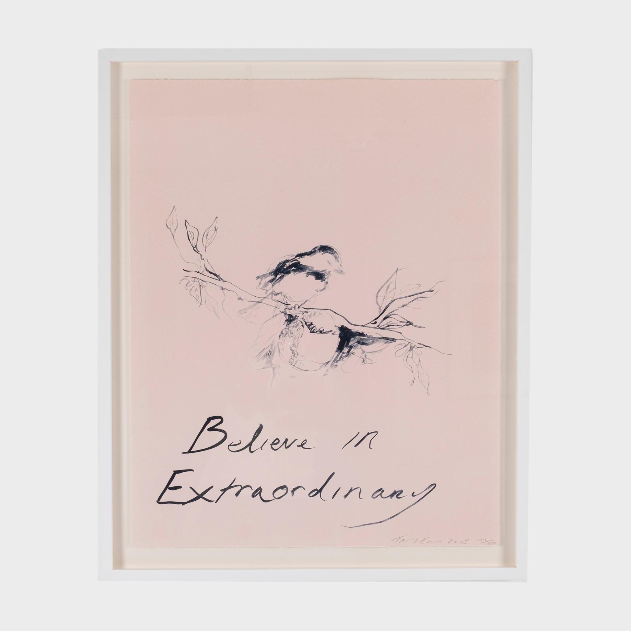 Believe in Extraordinary