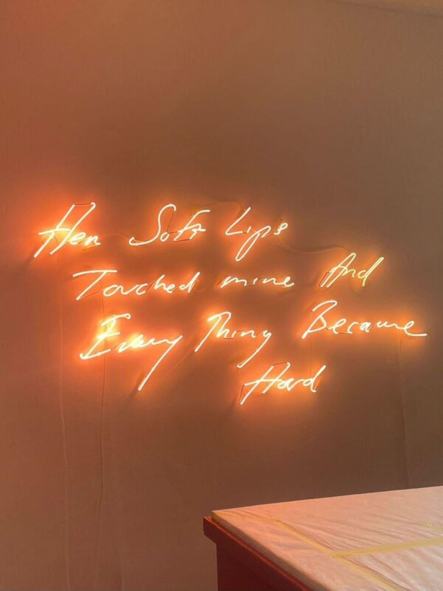 Her soft lips touched mine and everything became hard By Tracey Emin For Sale 1