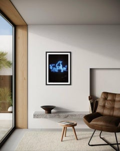 My Favourite Little Bird