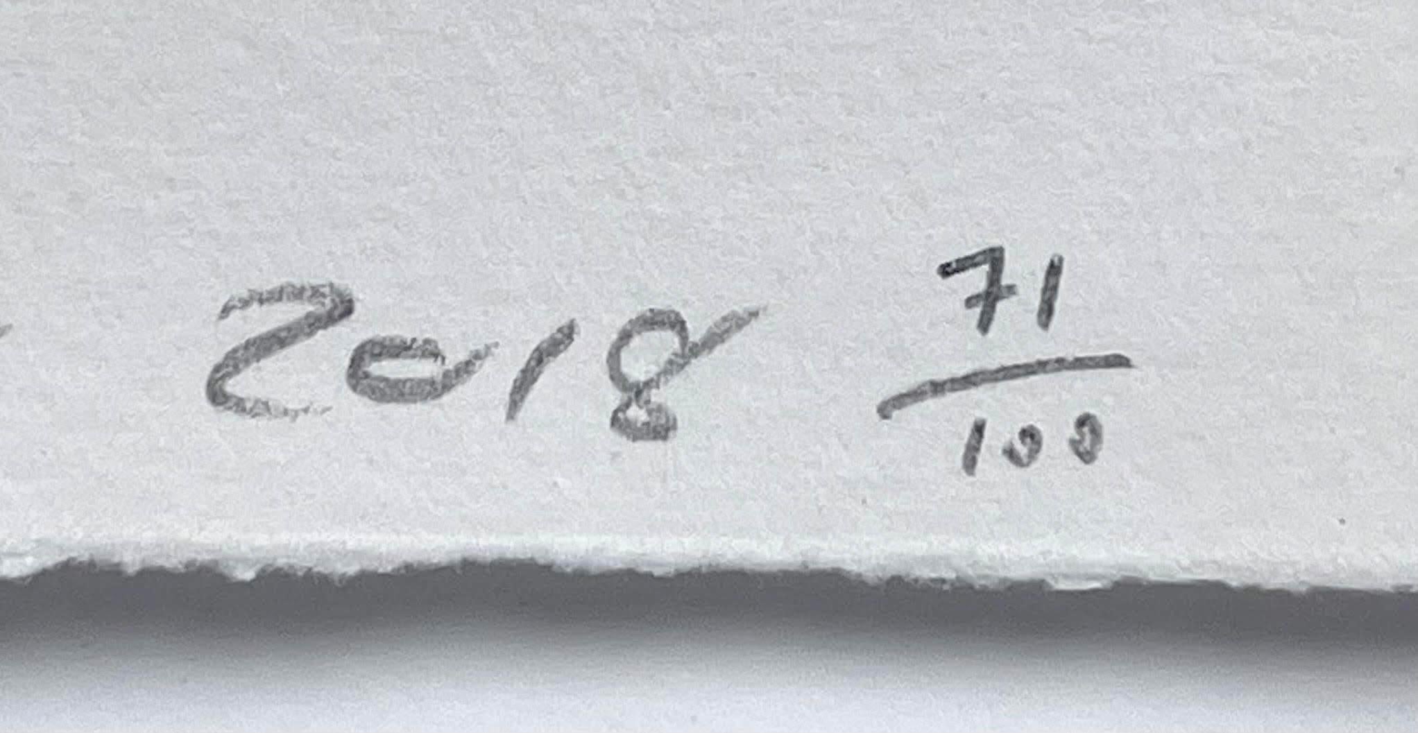 Decir adiós, Grabado polímero sobre Somerset 300gsm Firmado 71/100, Enmarcado UK Art en venta 2
