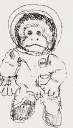 Mono espacial