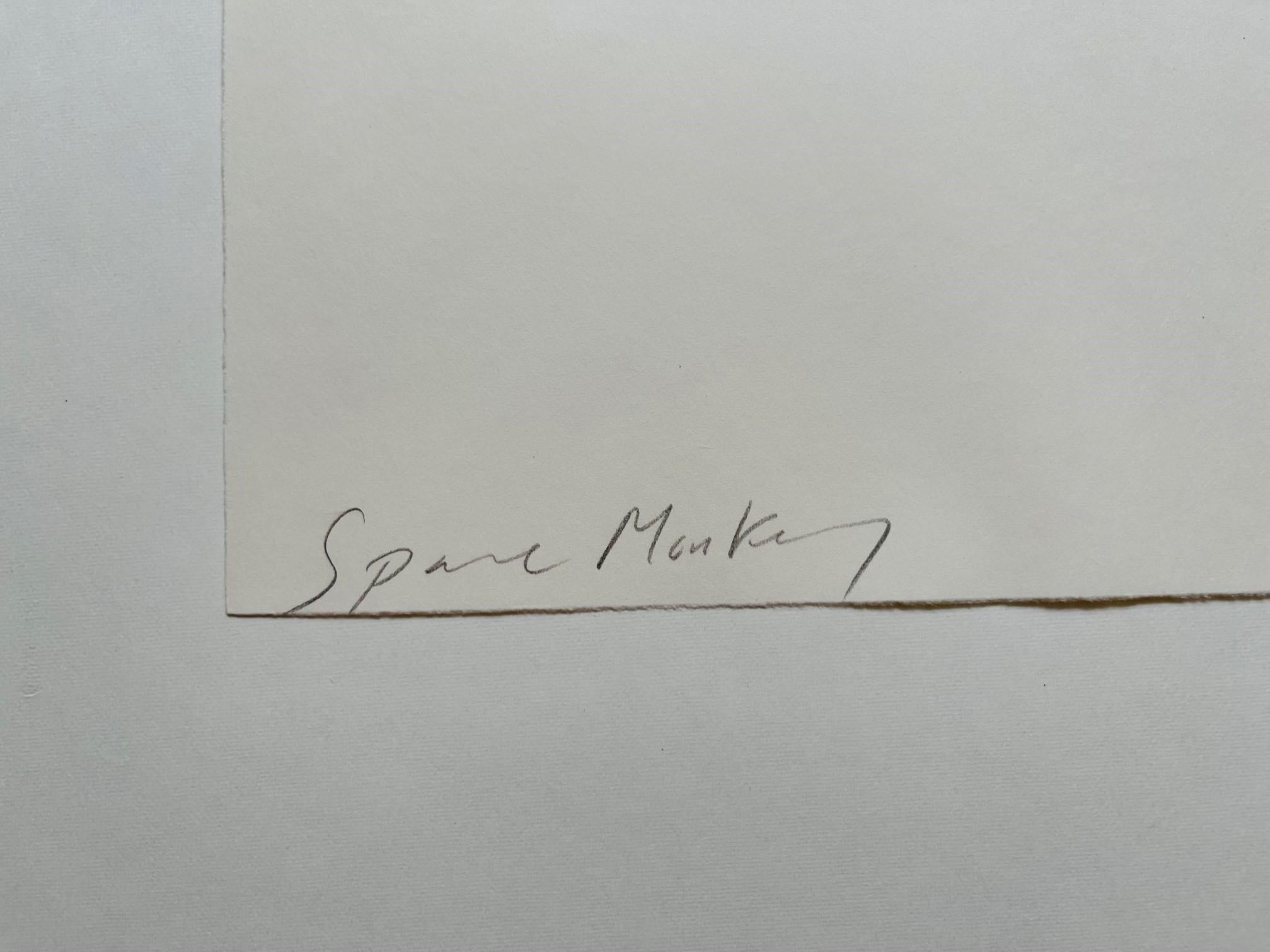 Space Monkey We have Lift Off (2009) (signiert) im Angebot 1