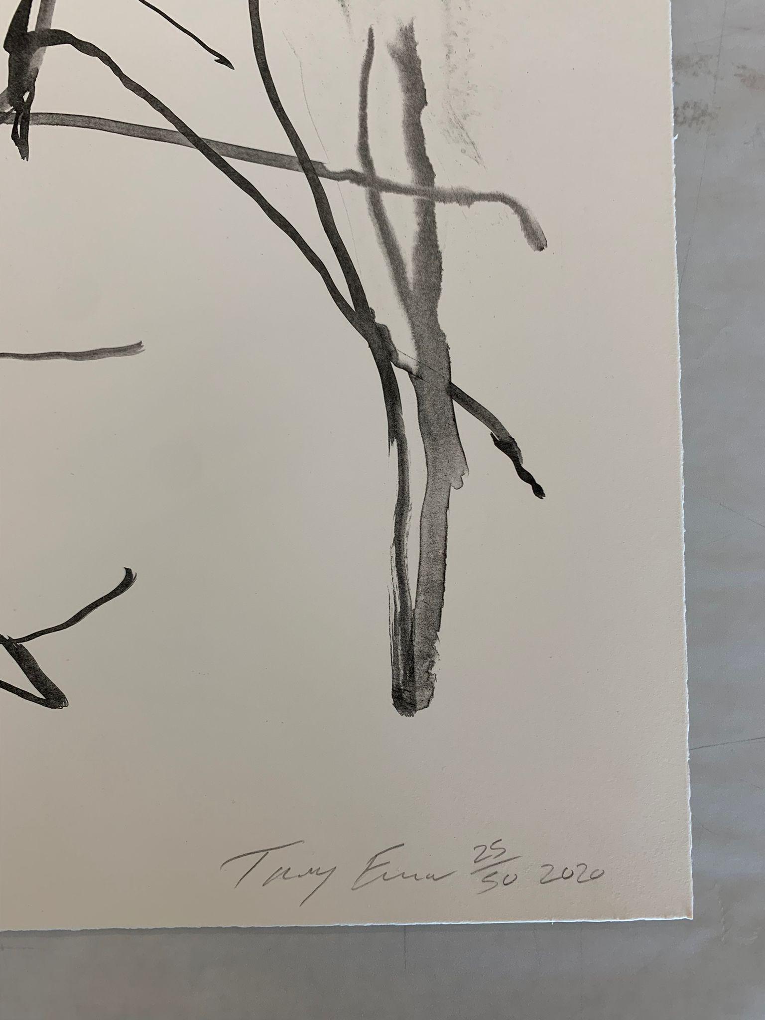 Questi sentimenti erano veri -Emin, Contemporaneo, YBAs, Litografia, Blu, Ritratto in vendita 8