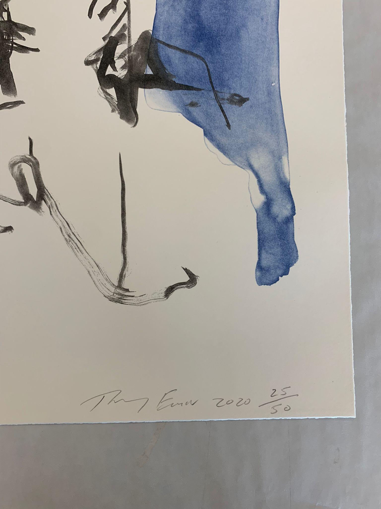 Questi sentimenti erano veri -Emin, Contemporaneo, YBAs, Litografia, Blu, Ritratto in vendita 11