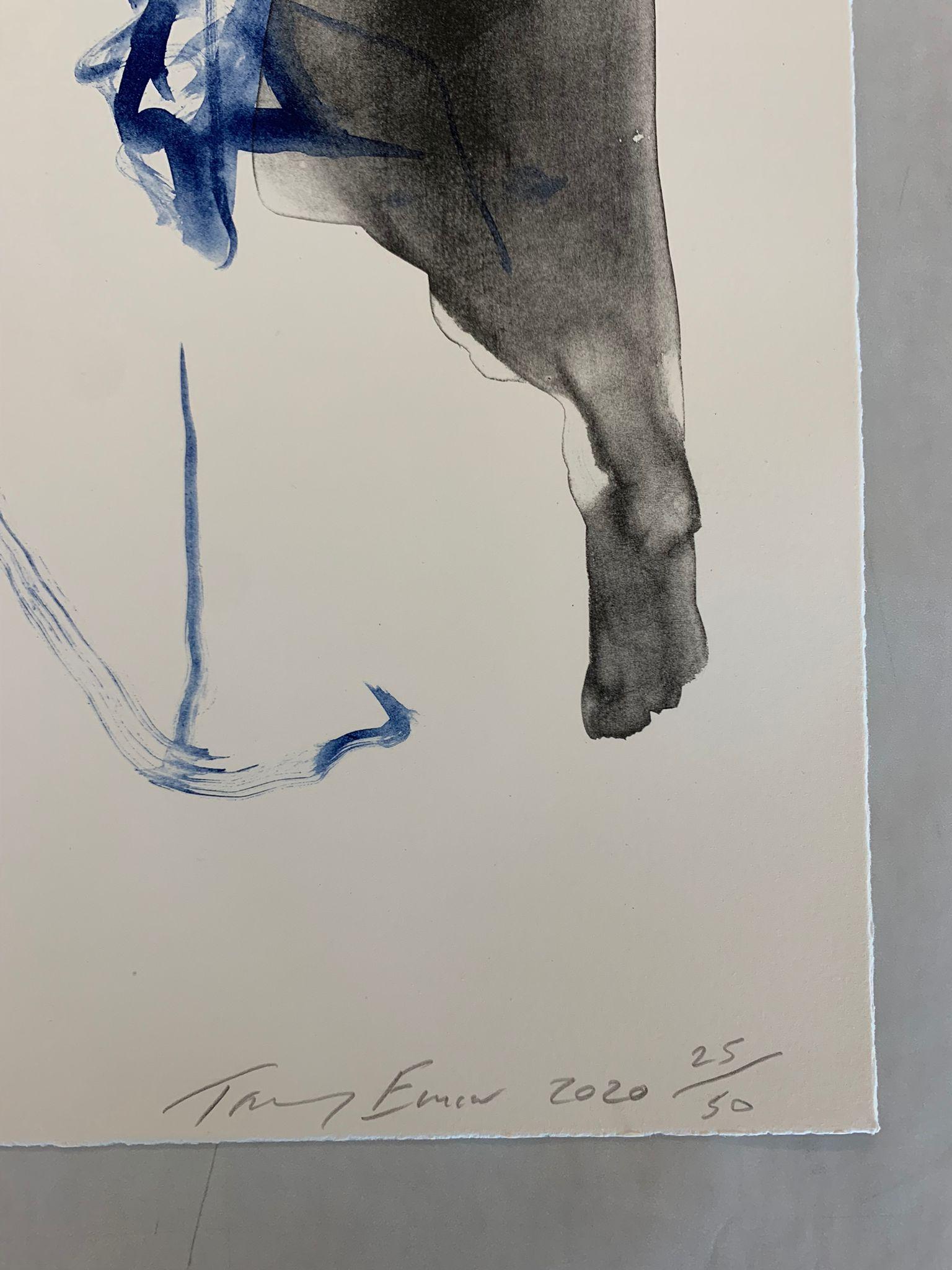 These Feelings Were True -Emin, Contemporary, YBAs, Lithograph, Blue, Portrait For Sale 13
