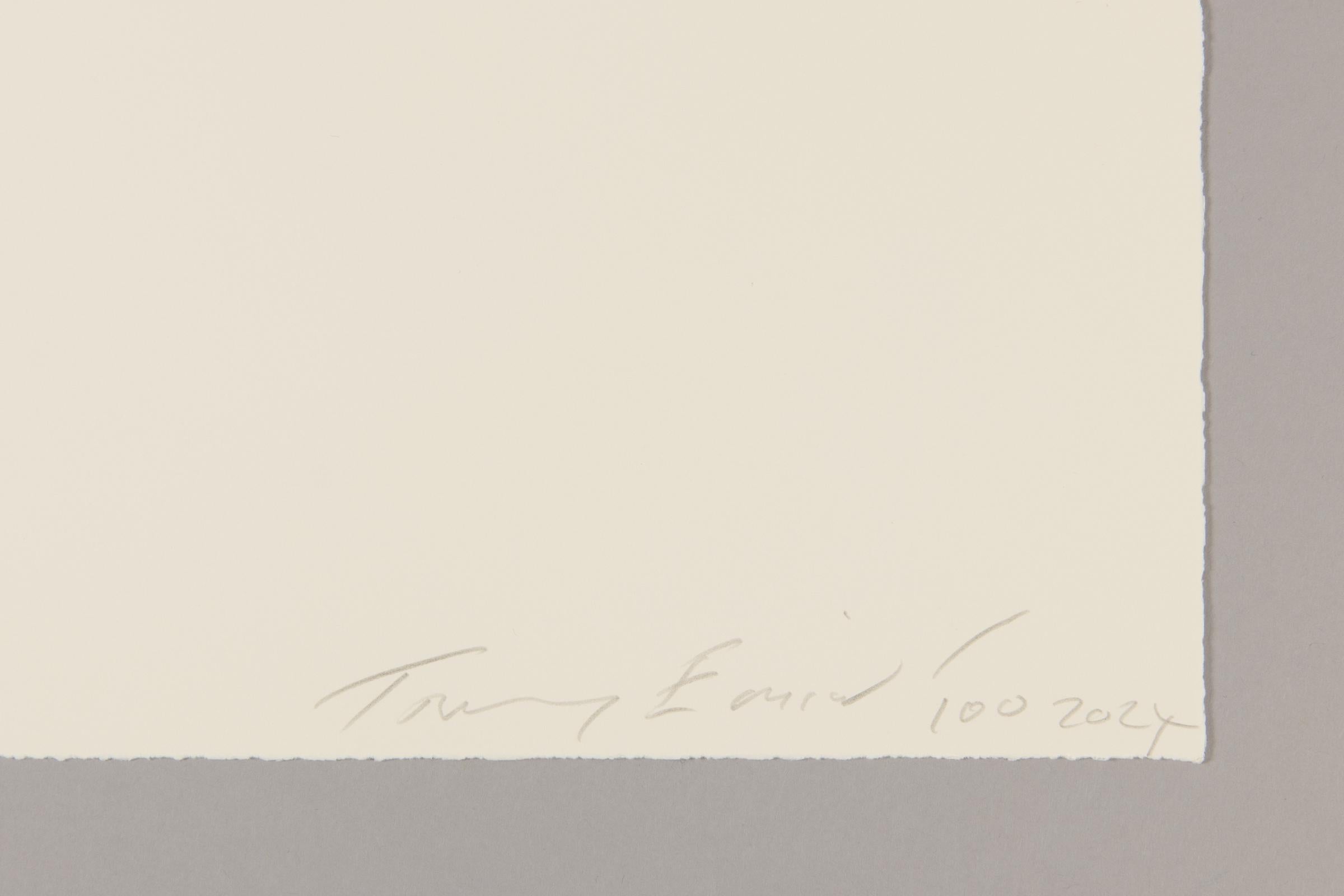 Tracey Emin, Elige el amor - Litografía firmada, Figuración abstracta, Arte británico en venta 2