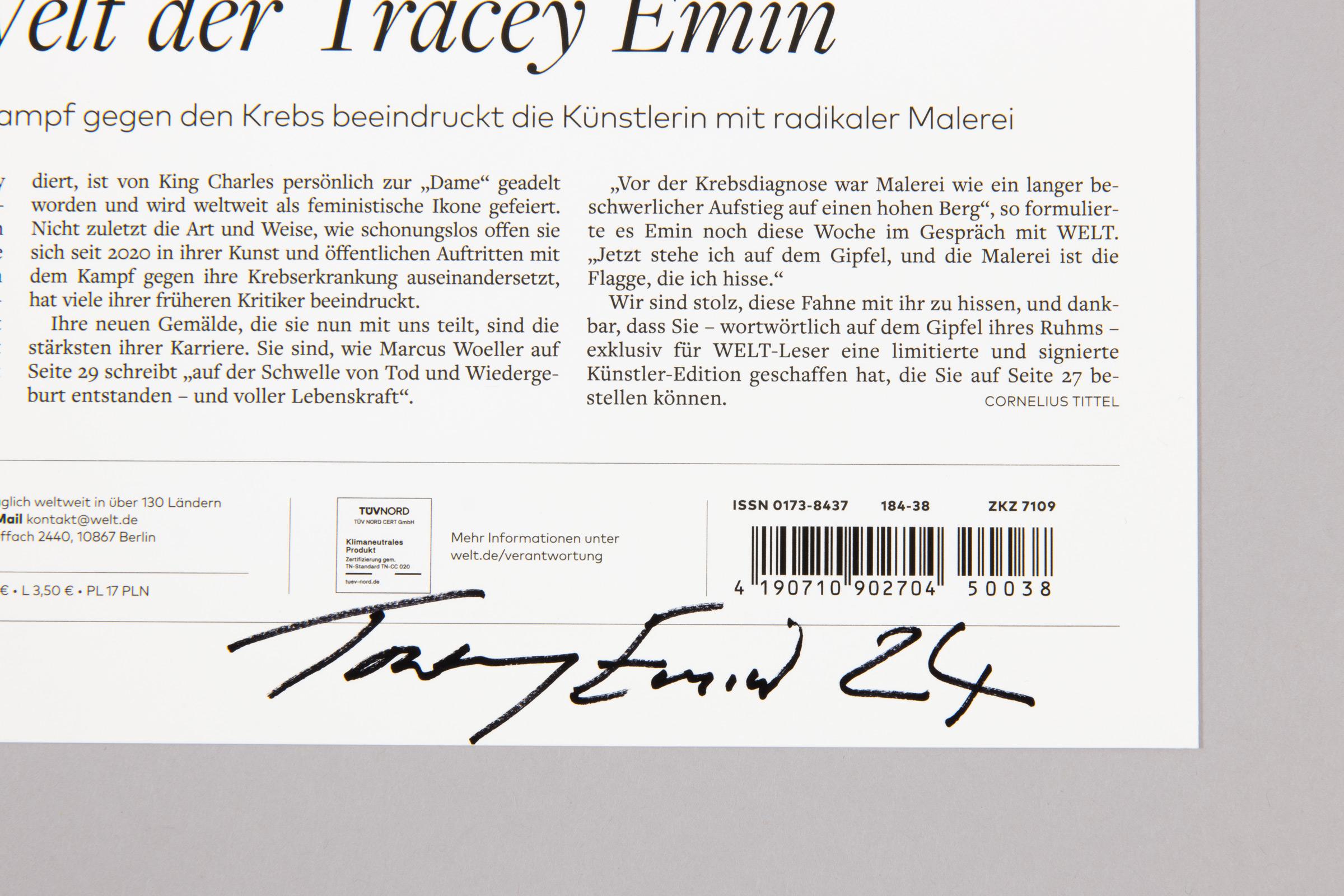 Tracey Emin, I Followed You to the End (Die Welt) For Sale 2