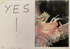 YES!  pencil signed and numbered homemade print by renowned YBA British artist 