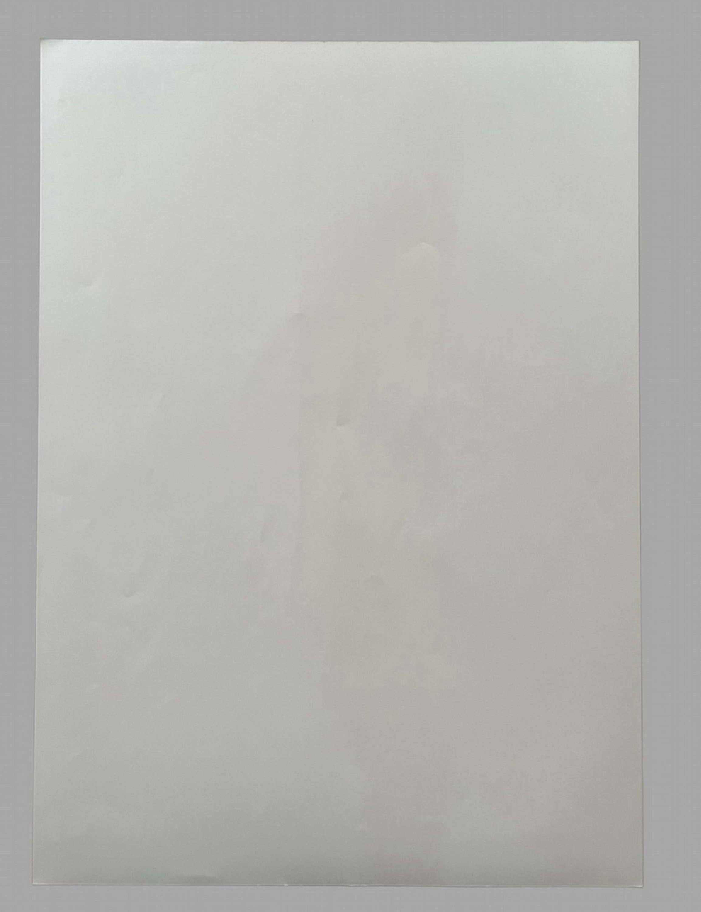 Tracey Emins 20-Jahres-Retrospektive Lithografie-Poster (Britisch) im Angebot