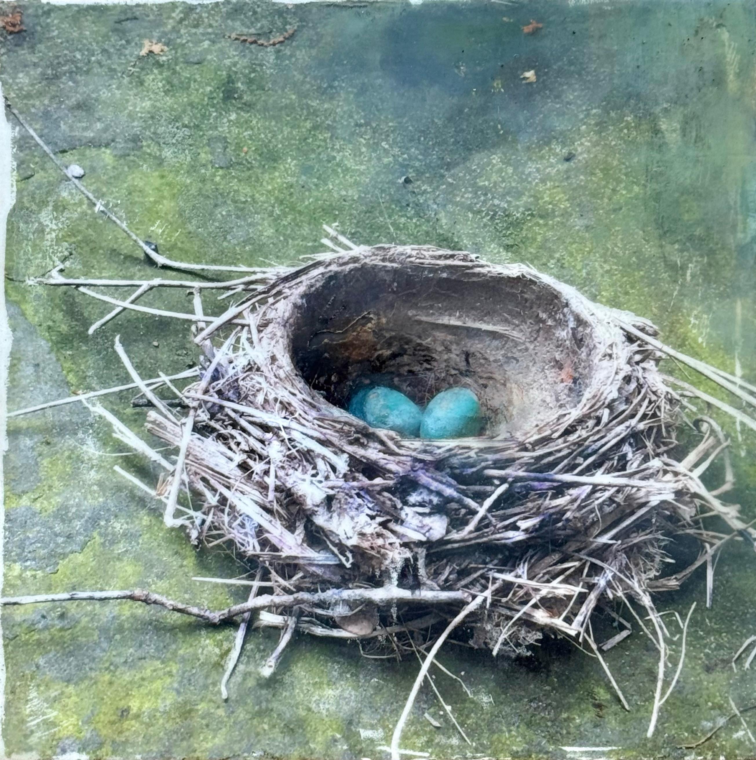 Photographic Film Landscape Paintings