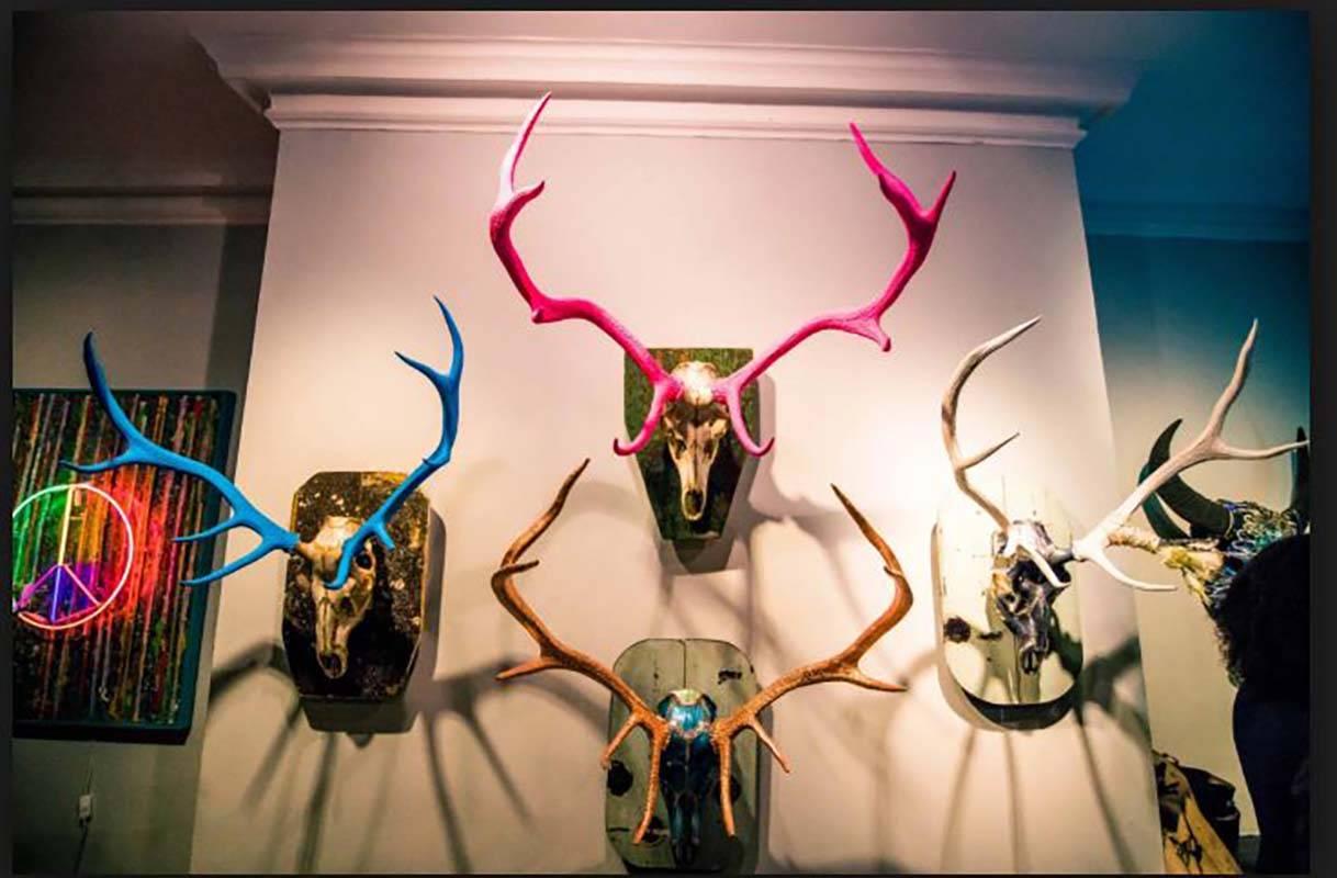 Graffito Original Authentic eland skull and horns, resin, acrylic neon Signed - Contemporary Art by Tracy L. Griffith