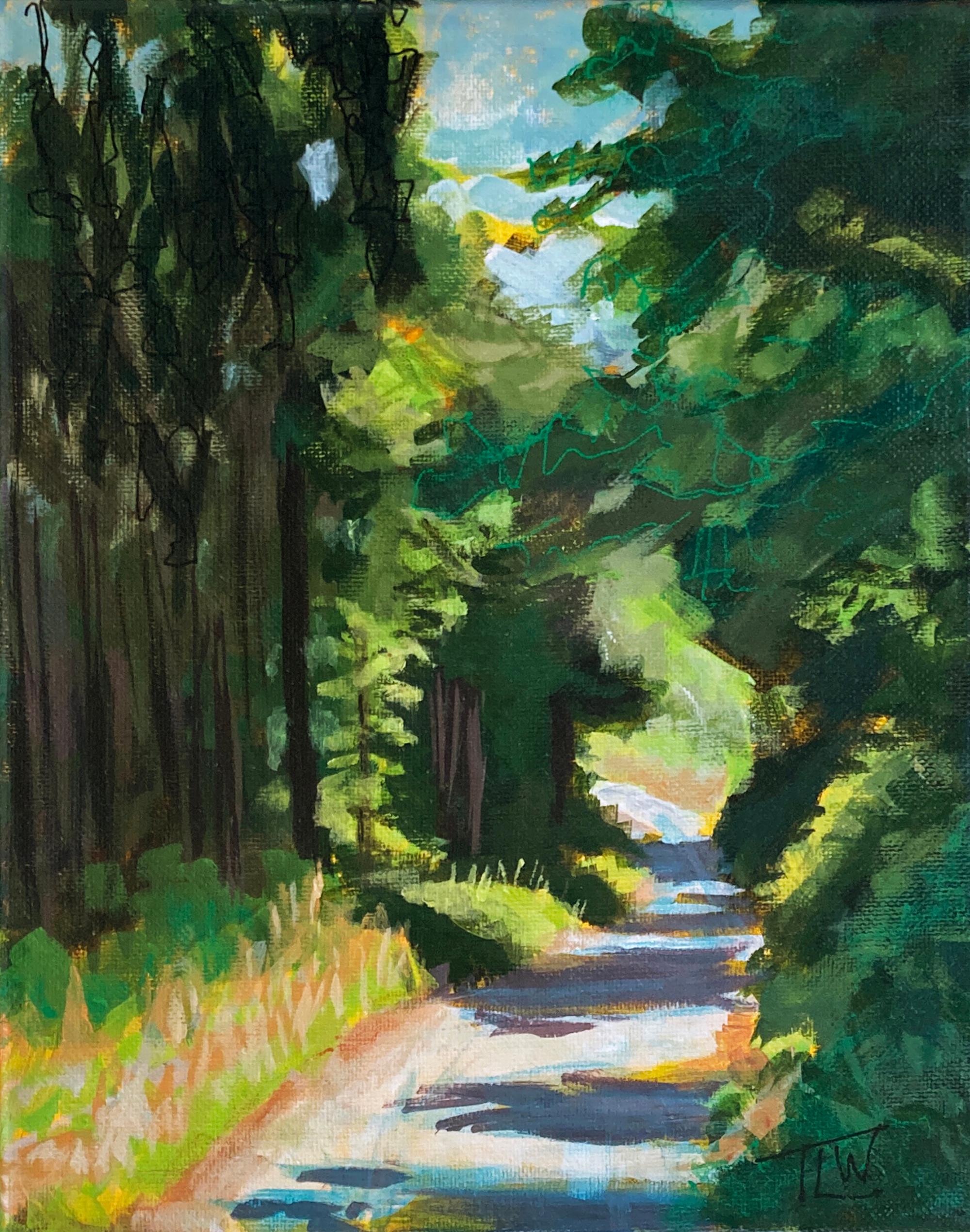 "Above Clear Creek" di Tracy Wall (Colorado, USA) è un dipinto originale, fatto a mano, a tecnica mista che raffigura una piccola strada di campagna del Colorado, costeggiata da alberi. 

Come artista, Tracy Wall getta una nuova luce sulla vita