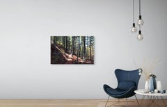 "Colorado Forested Mountain Trail" - Paysage impressionniste, peinture à l'huile