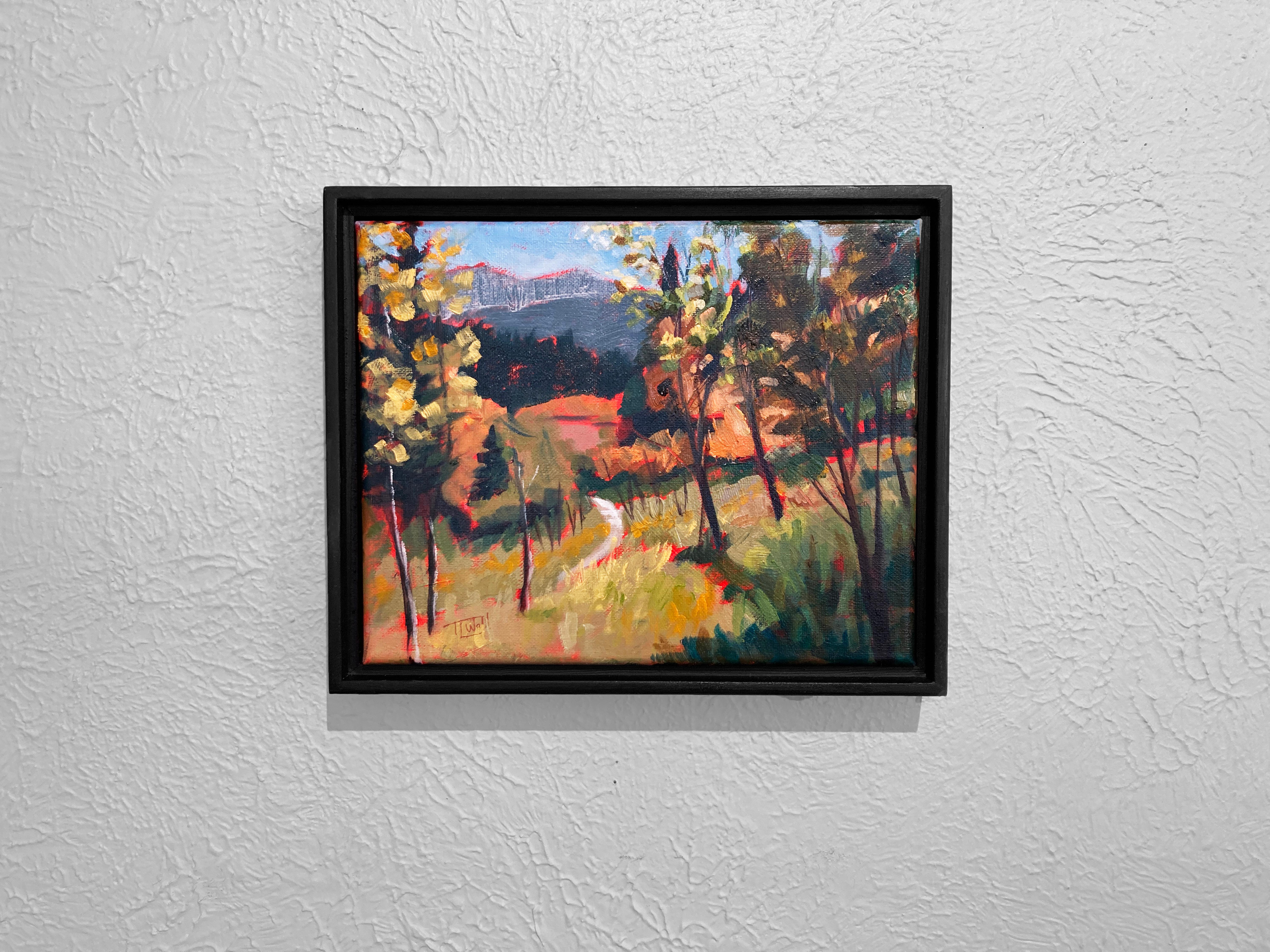 „Gusty (Plein Air Golden Gate Canyon SP)“ von Tracy Wall, Originalgemälde im Angebot 1