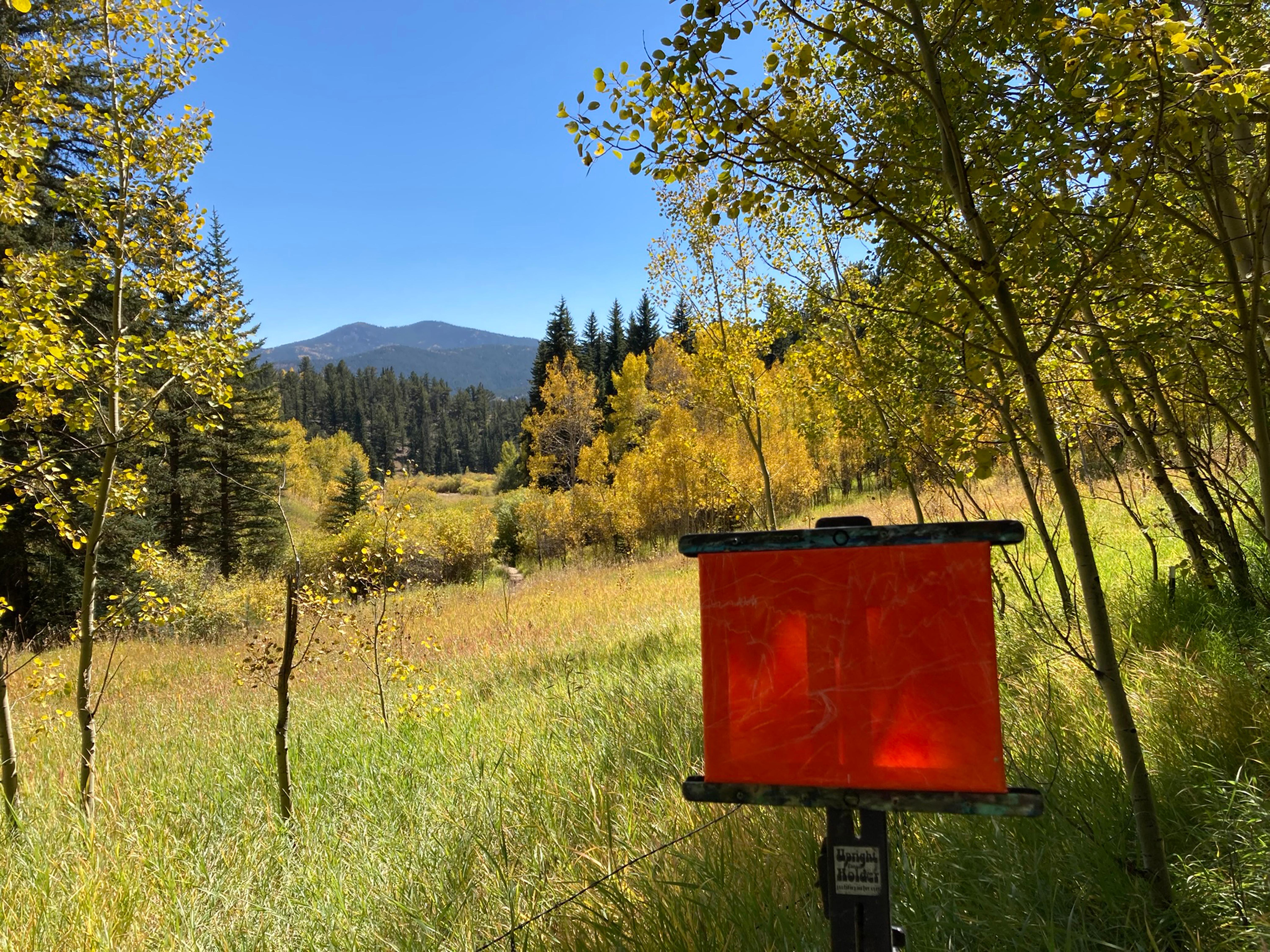 „Gusty (Plein Air Golden Gate Canyon SP)“ von Tracy Wall, Originalgemälde im Angebot 3