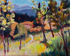 "Raffica (Plein Air Golden Gate Canyon SP)" di Tracy Wall, Pittura originale