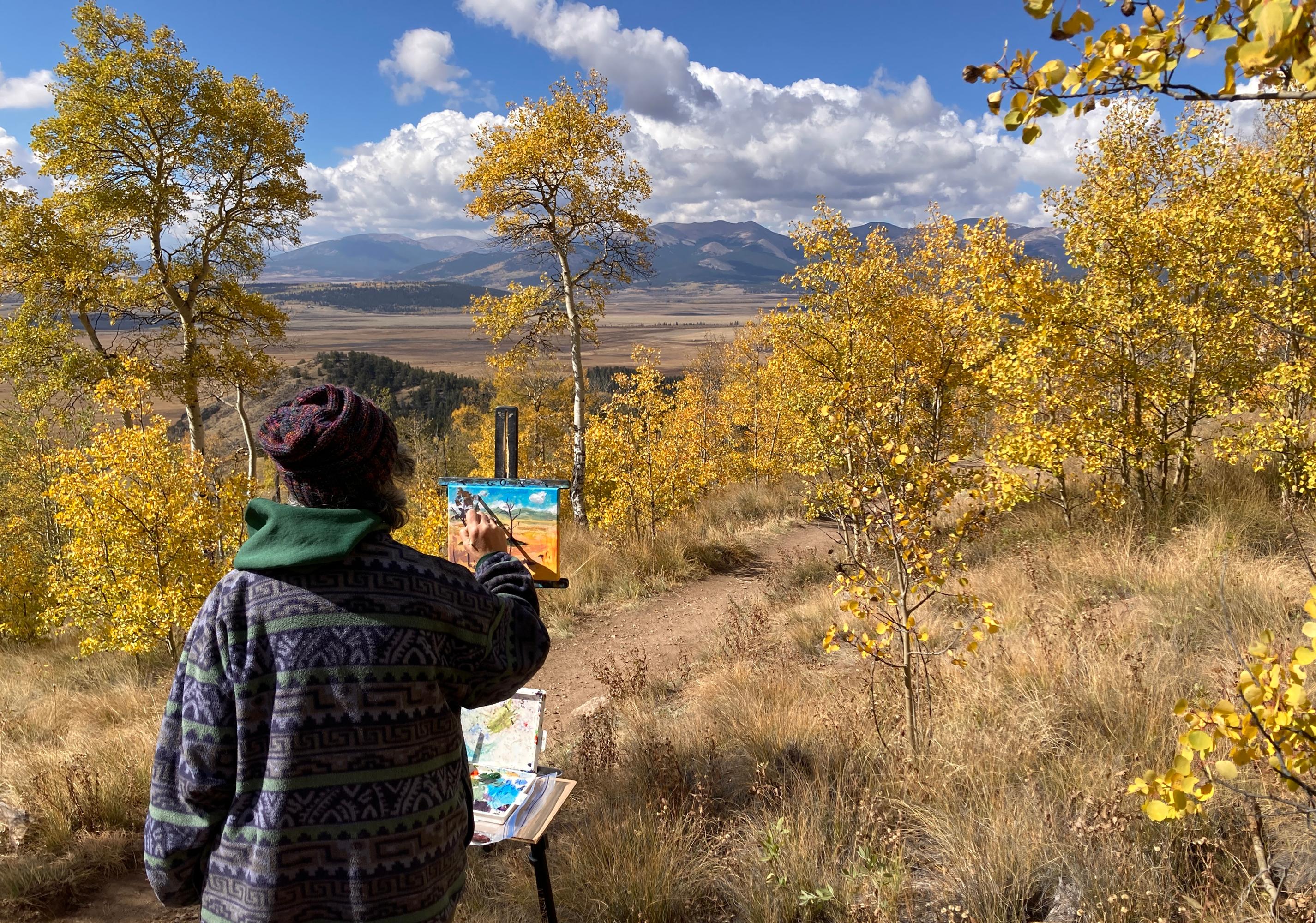 « Kenosha Colors », paysage plein air du Colorado de Tracy Wall en vente 3
